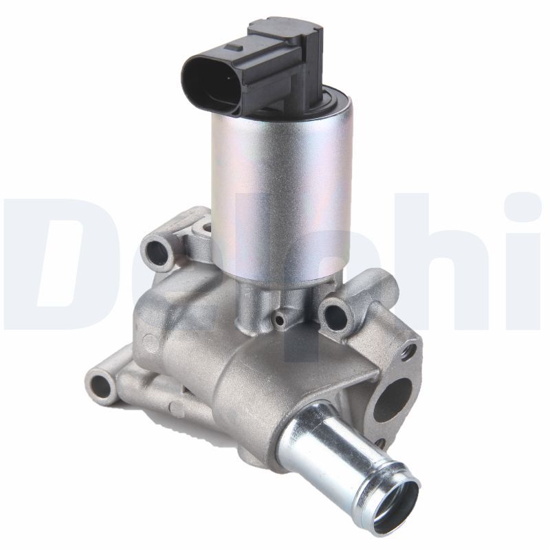 DELPHI AGR-szelep EG10289-12B1