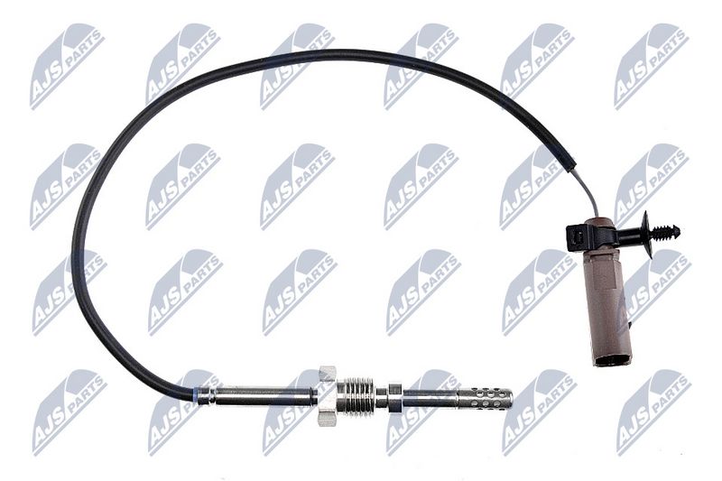 egt-vw-021_1-wm.JPG