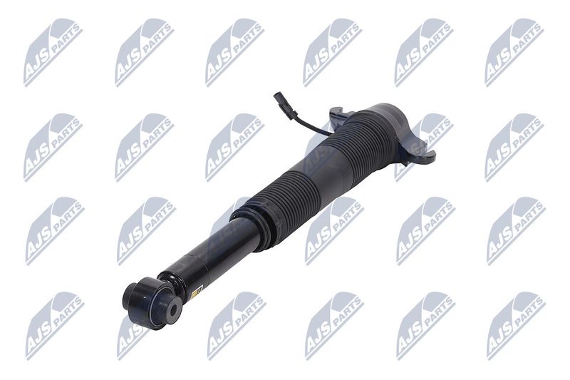 Amort, NTY A-LR-021