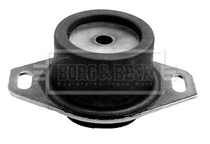 BEM3079_209938.JPG