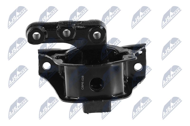 Paigutus, Mootor, NTY ZPS-PE-028