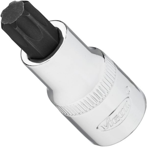 Padrun, VIGOR V2198N