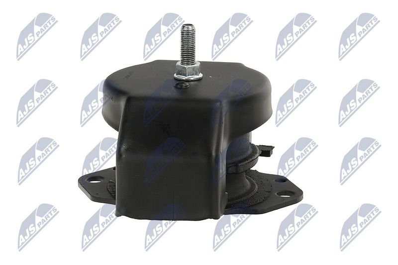 Paigutus, Mootor, NTY ZPS-MS-011