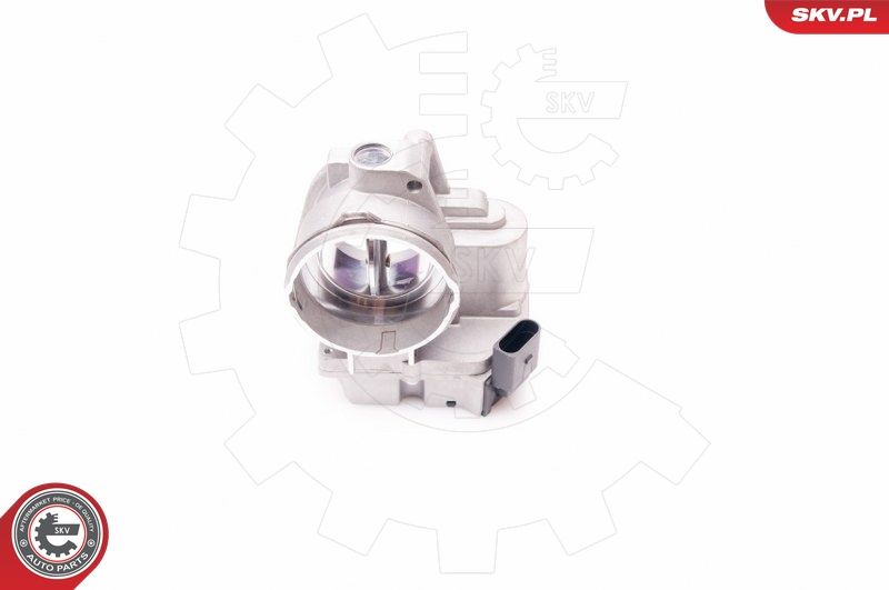 ESEN SKV 12SKV061 Throttle Body