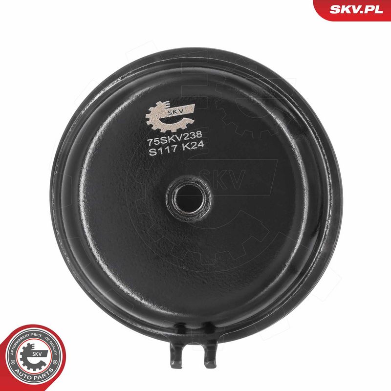 Paigutus, Mootor, ESEN SKV 75SKV238