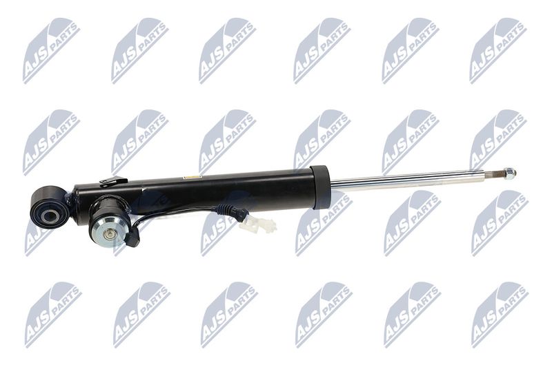 Amort, NTY A-PL-065