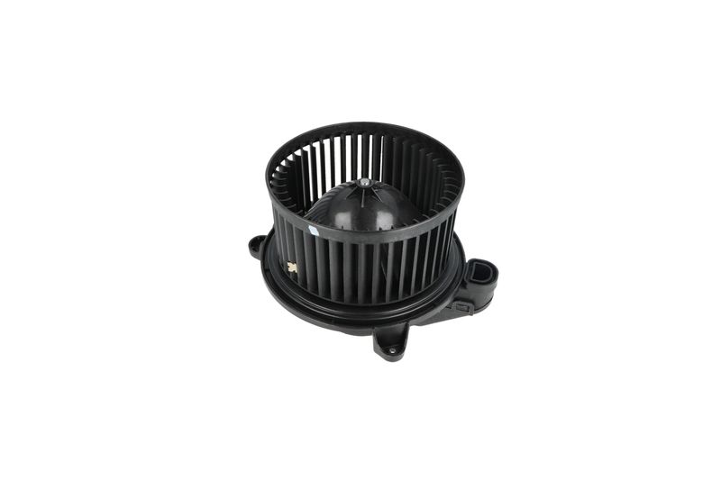 Salongipuhur, NRF 34365