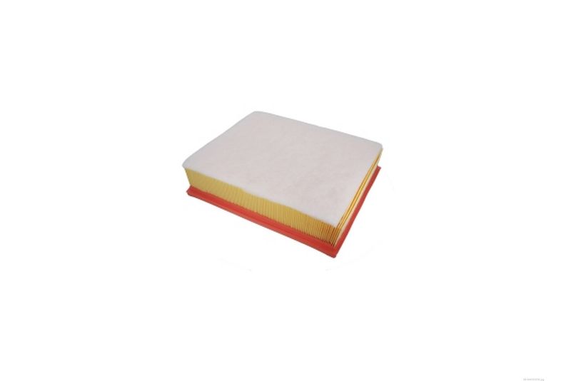 AUTOMEGA 246765010 Oro filtras