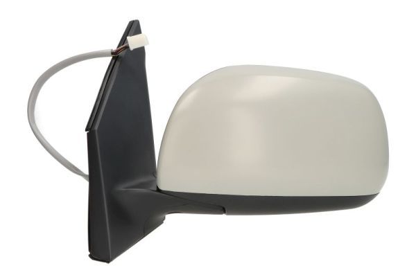 BLIC 5402-04-9929999P Exterior Mirror