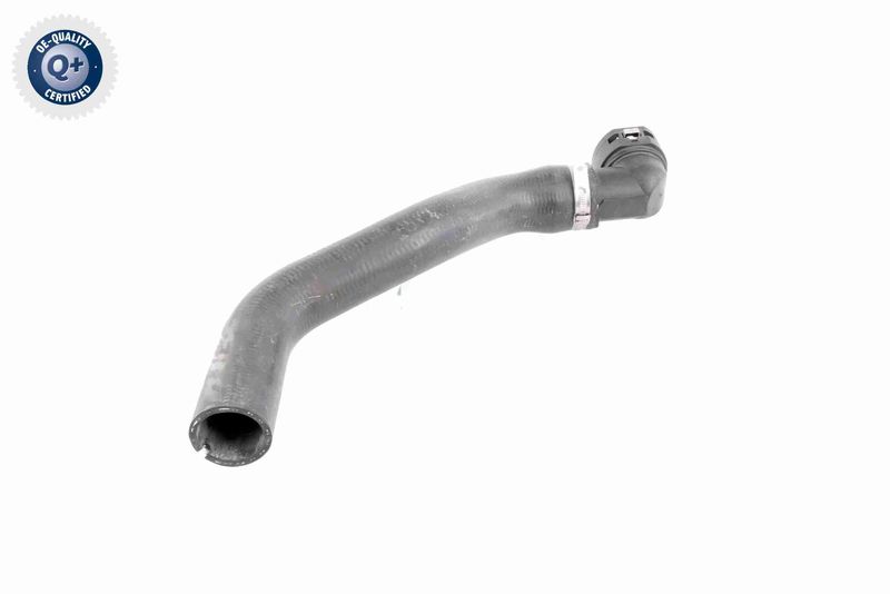 VAICO V24-0873 Radiator Hose
