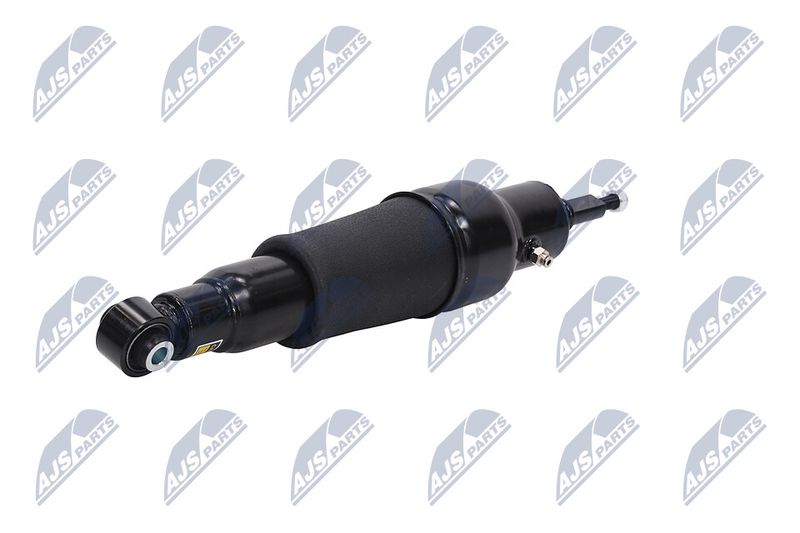 Amort, NTY A-NS-051