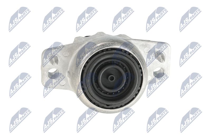 Paigutus, Mootor, NTY ZPS-JG-007