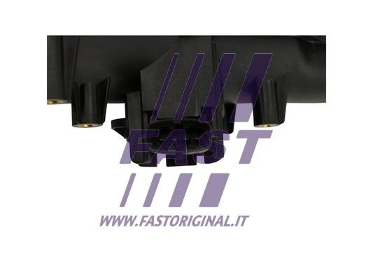 FT50404_4_1.JPG