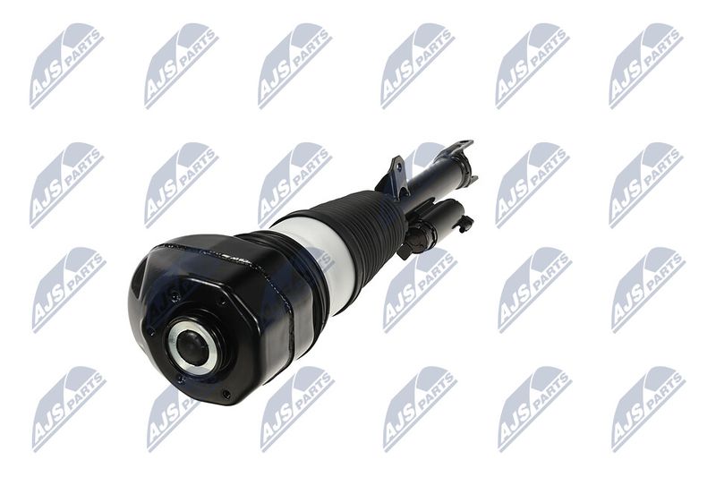 Amort, NTY A-BM-088