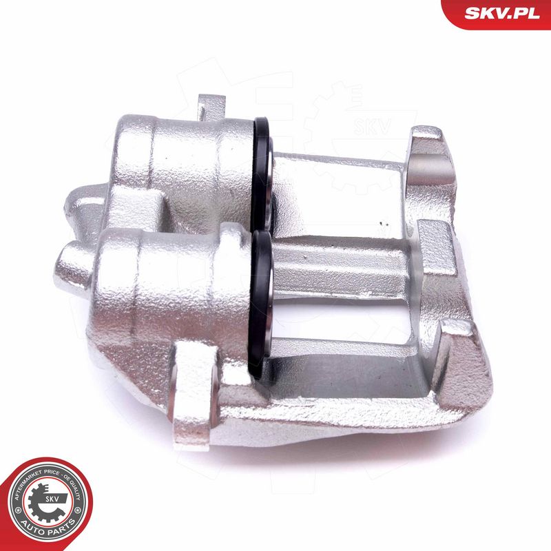 Pidurisadul, ESEN SKV 50SKV173