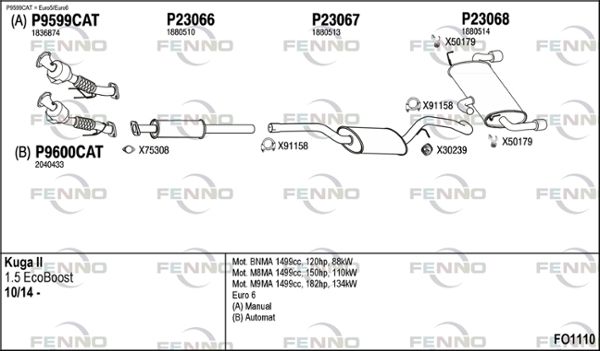 FO1110.JPG