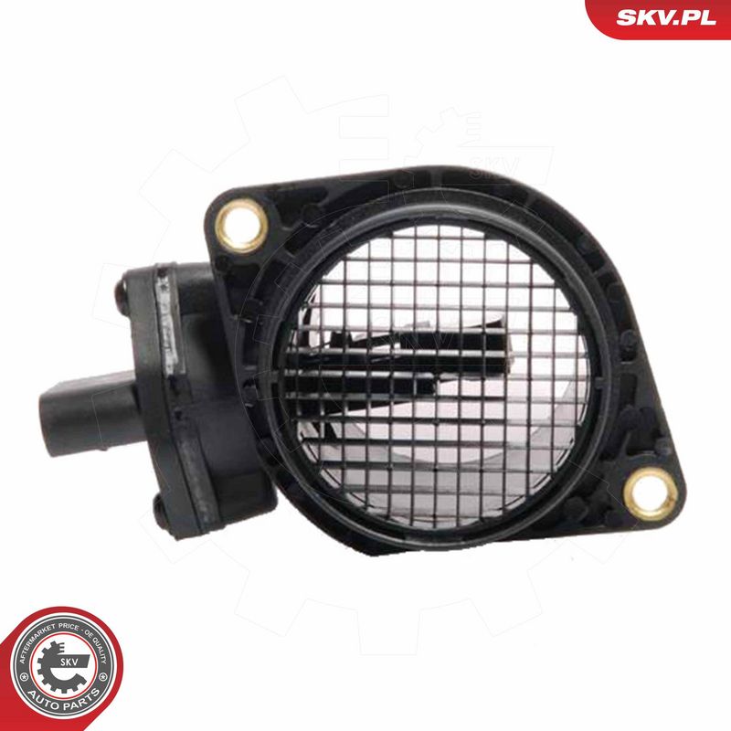 Article Picture