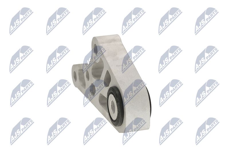 Paigutus, Mootor, NTY ZPS-CH-119