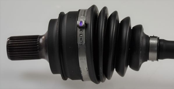 GKND12984B.JPG