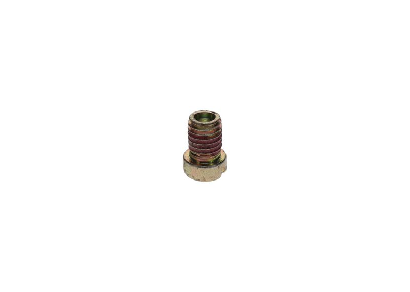 Surub 1 413 463 020 BOSCH