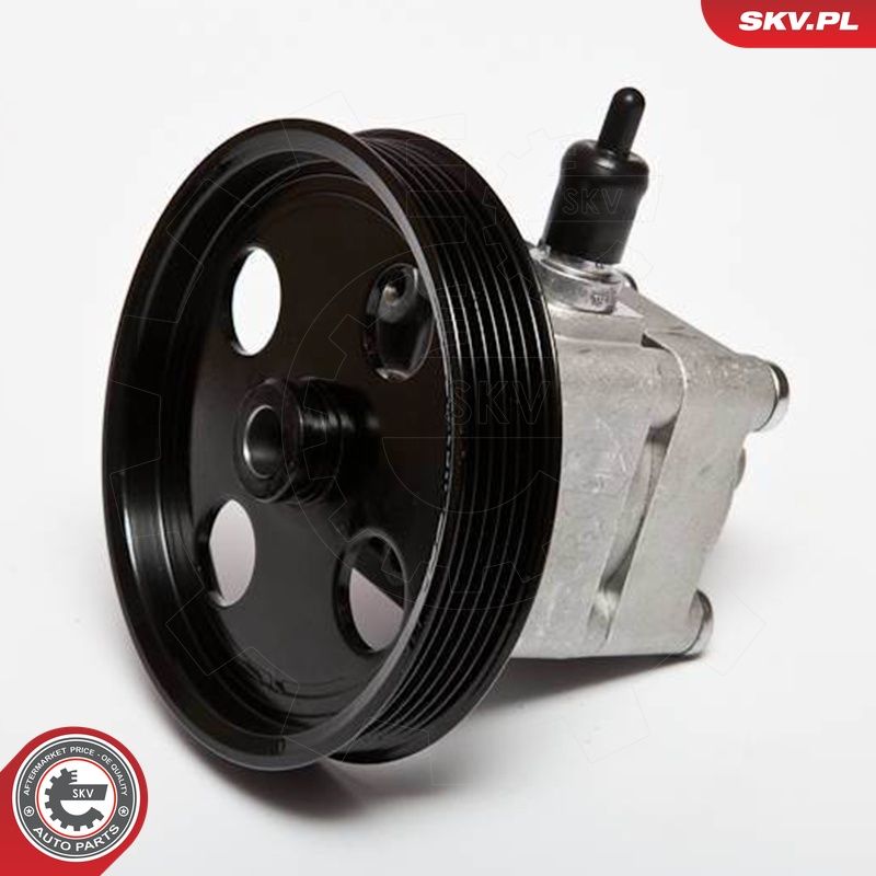 Hüdraulikapump, roolimine, ESEN SKV 10SKV092