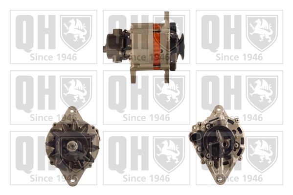 QH_QRA1047_GRUPPE.JPG