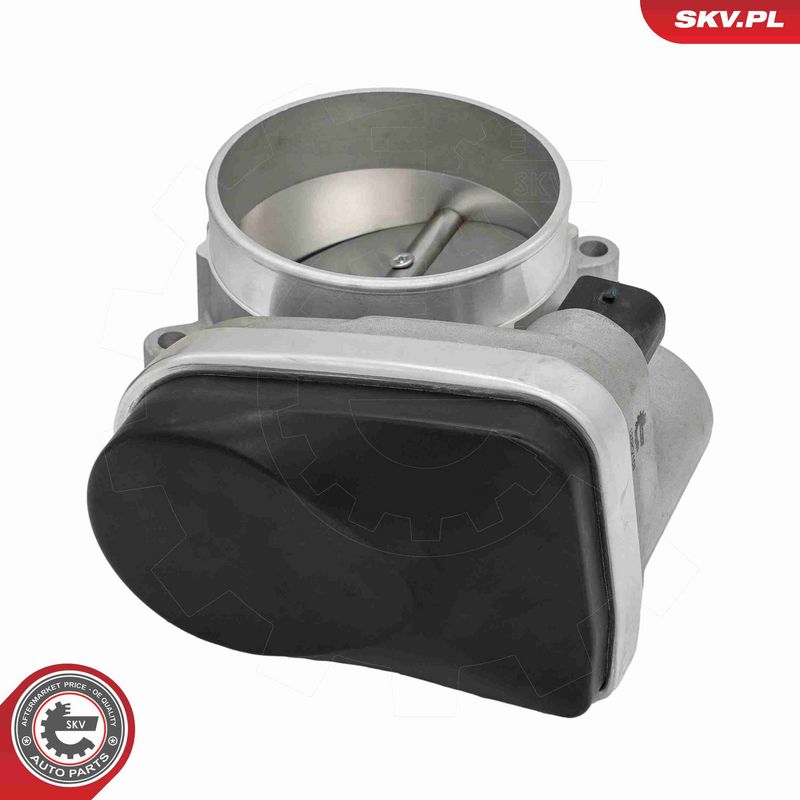 ESEN SKV 12SKV168 Throttle Body