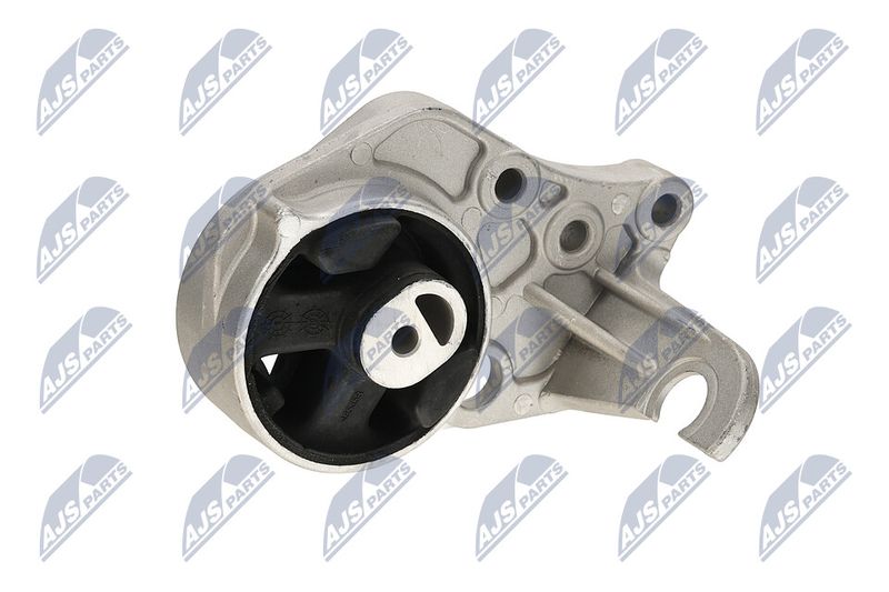 Paigutus, Mootor, NTY ZPS-CH-113