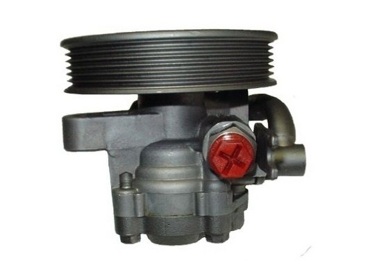 SPIDAN 54434 Hydraulic Pump, steering