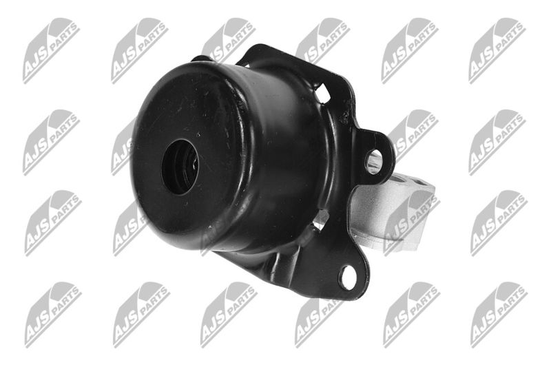 Paigutus, Mootor, NTY ZPS-PL-053