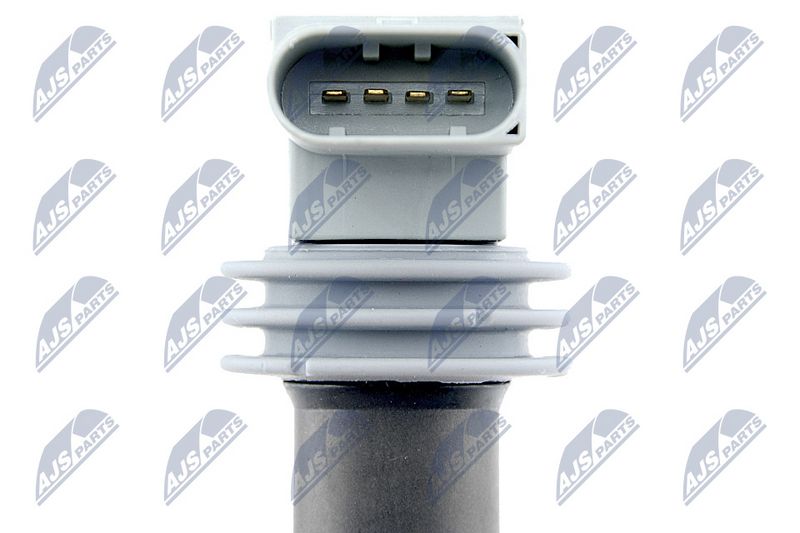 Süütepool, NTY ECZ-WW-031