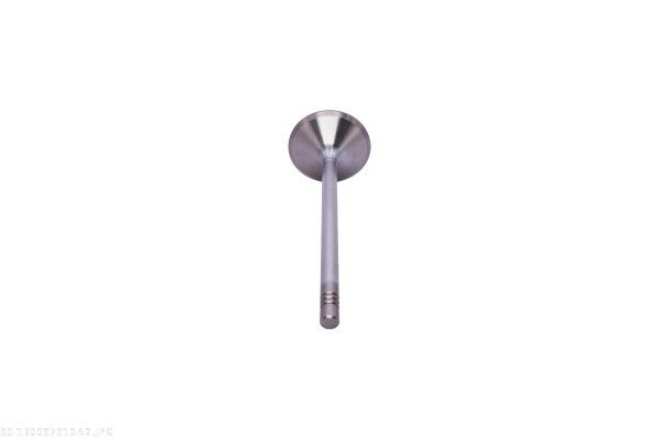AUTOMEGA 130097010 Intake Valve