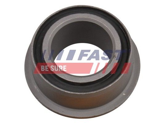 FT18310_1_1.JPG