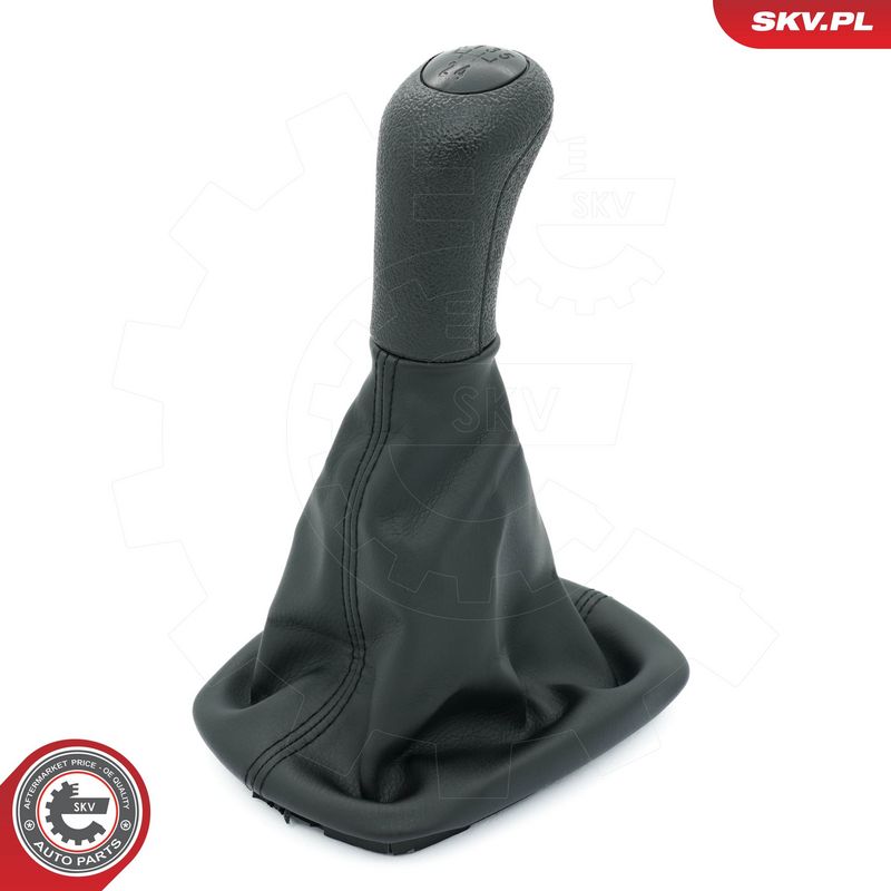 Käigukanginupp, ESEN SKV...