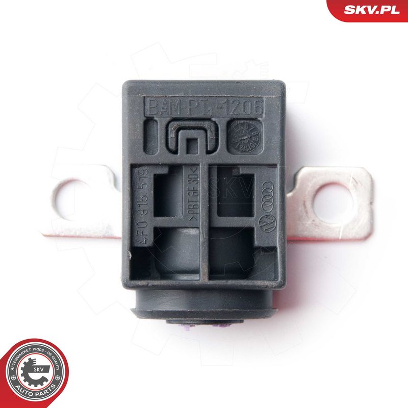 Ülepinge kaitseseade, generaator, ESEN SKV 96SKV004