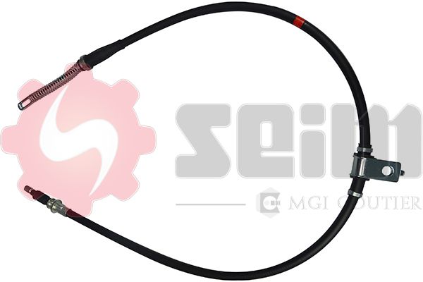 555066.JPG