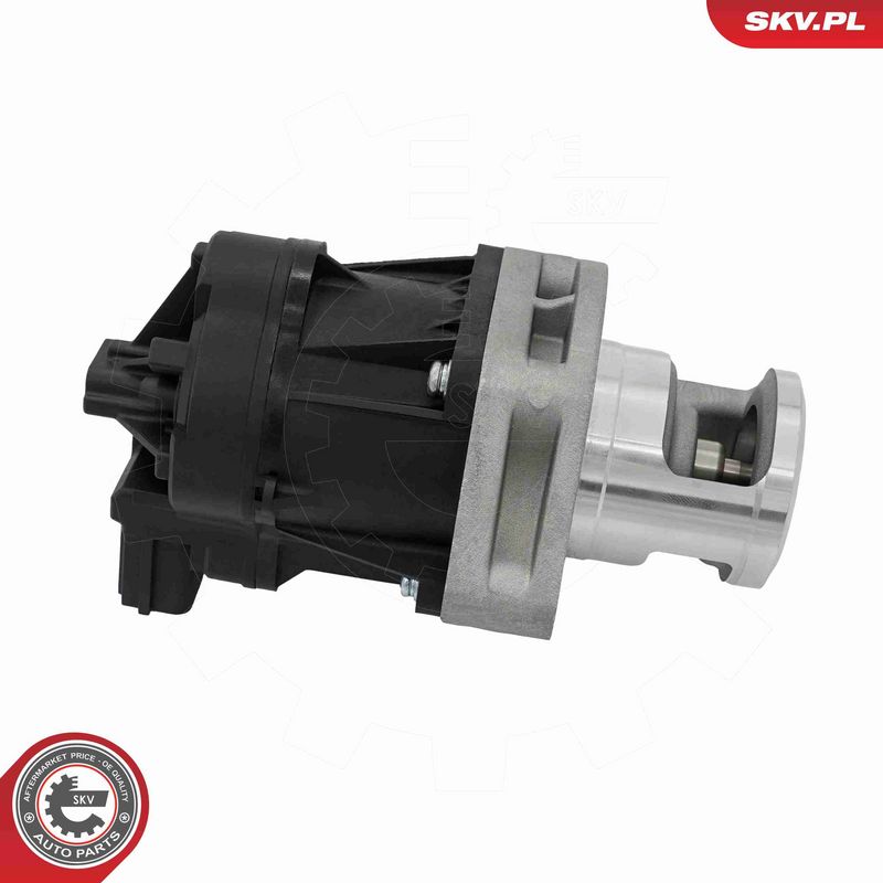 ESEN SKV 14SKV302 EGR Valve