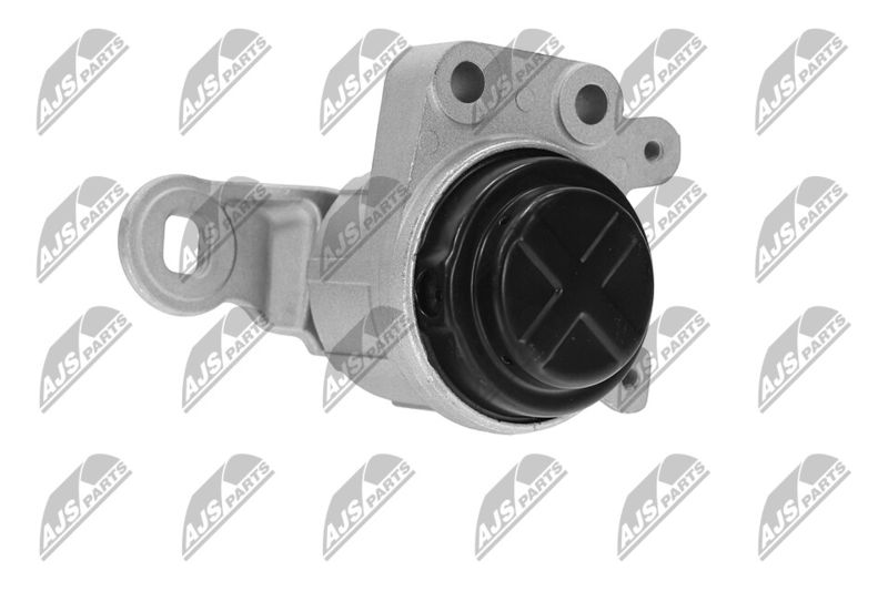 Paigutus, Mootor, NTY ZPS-FR-044