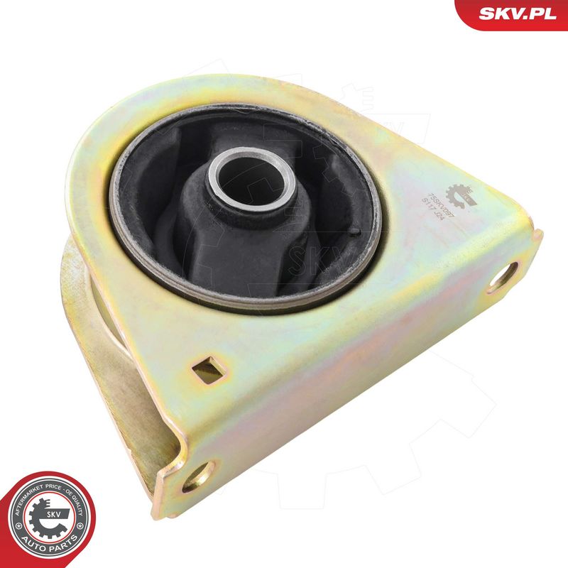 Paigutus, Mootor, ESEN SKV 75SKV097