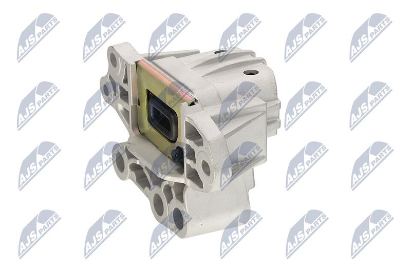 Paigutus, Mootor, NTY ZPS-CH-131