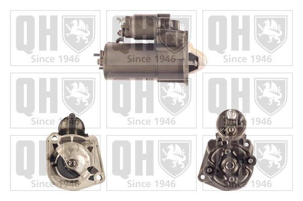 QH_QRS1829_GRUPPE.JPG