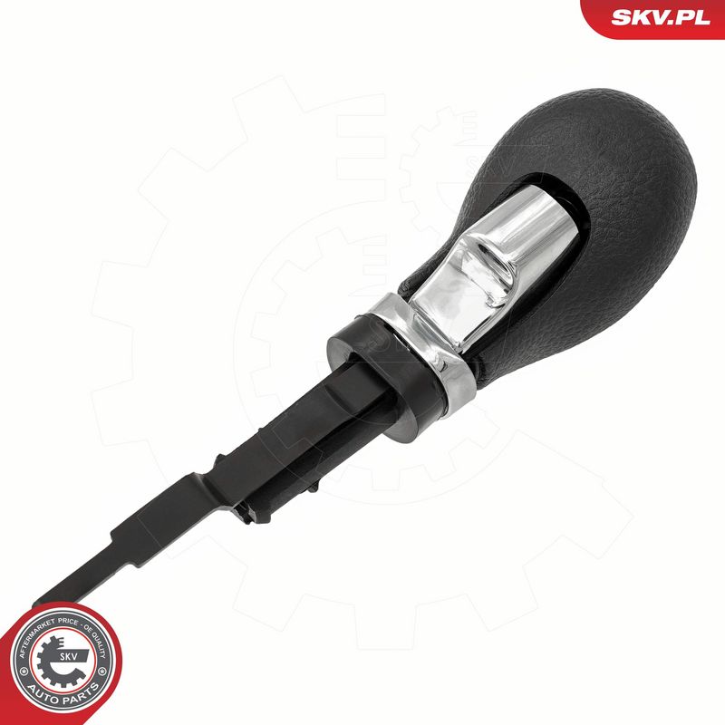 Käigukanginupp, ESEN SKV 63SKV181