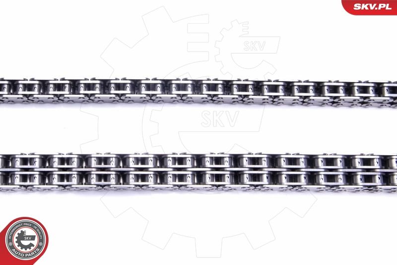 ESEN SKV 21SKV140 Timing Chain Kit