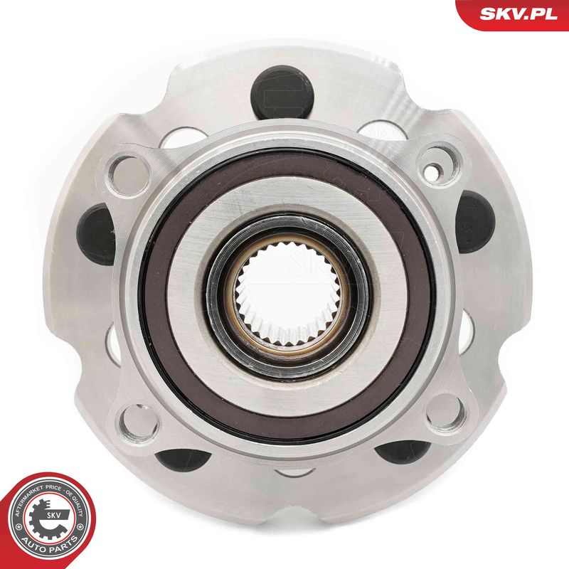 ESEN SKV 29SKV598 Wheel Bearing Kit