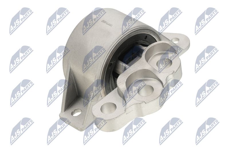 Paigutus, Mootor, NTY ZPS-FT-032