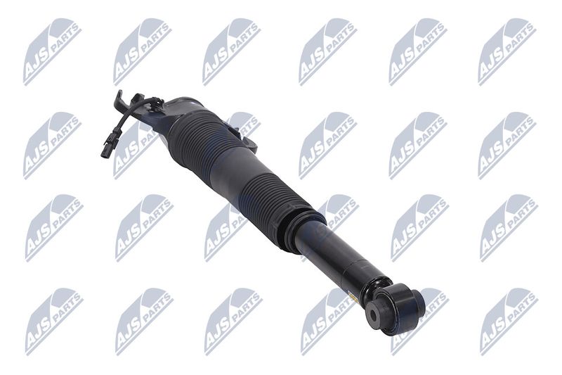 Amort, NTY A-LR-022