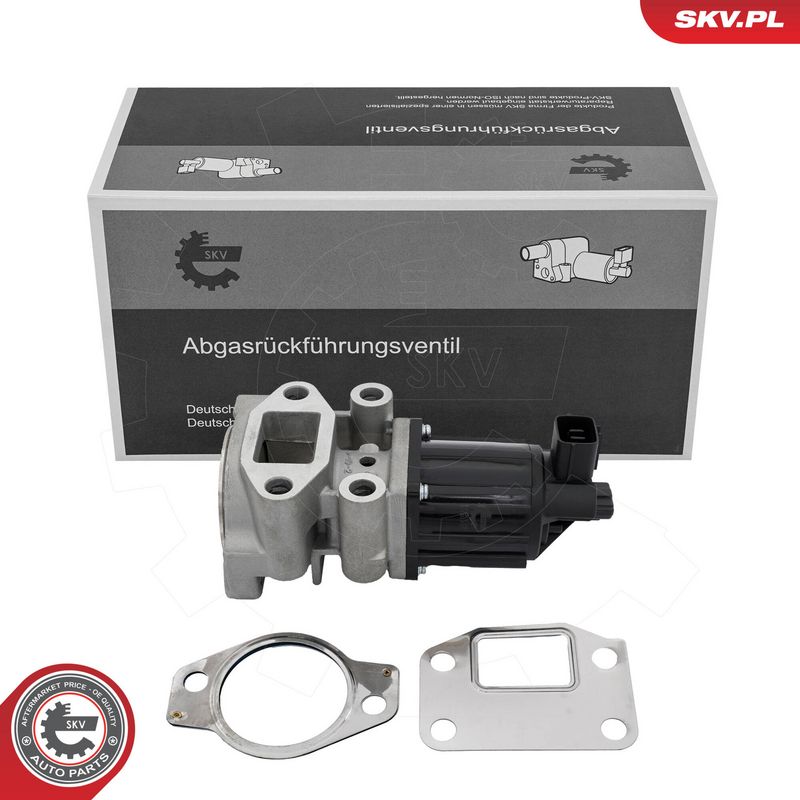 EGR-klapp, ESEN SKV 14SKV300