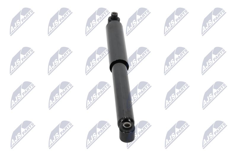 Amort, NTY A-CH-038