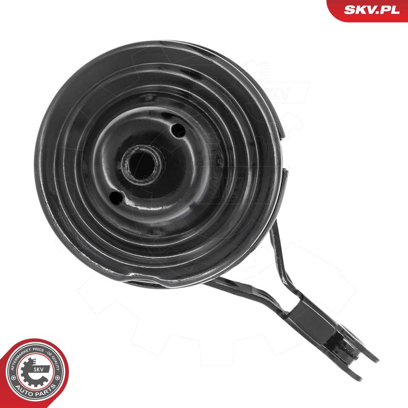 Paigutus, Mootor, ESEN SKV...