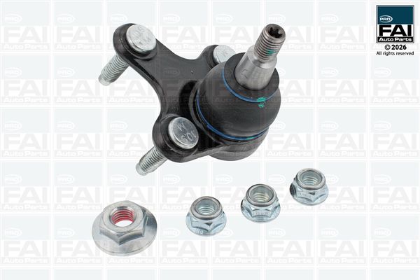 FAI AutoParts Šarnyras / girgždukas